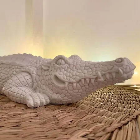 דירה Le Petit Cocon Nimois נים